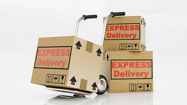 The Ultimate Guide to Fast and Reliable Overnight Parcel Delivery