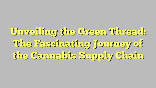 Unveiling the Green Thread: The Fascinating Journey of the Cannabis Supply Chain