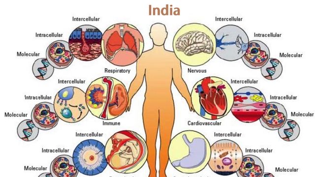 The Future of Medicine: Unlocking the Potential of Stem Cell Therapy