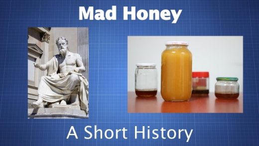 The Sweet Temptation: Exploring the Buzz around Mad Honey