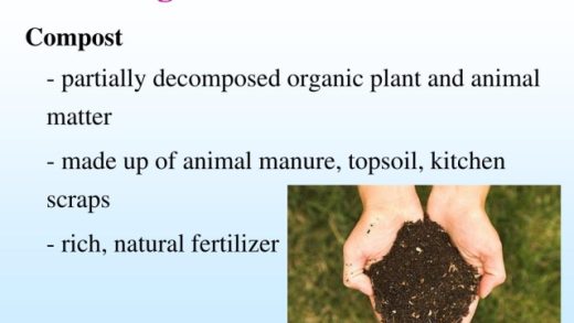 Unlocking Nature’s Nutrients: The Power of Organic Soil and Fertilizers