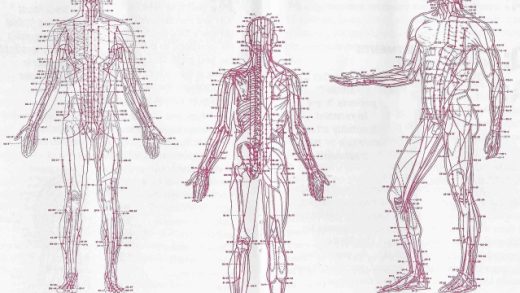 Unlocking the Power of Acupuncture: Ancient Healing for Modern Wellness