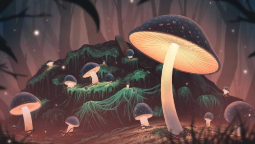 Fungi Fantasia: Unleashing the Magic of Mushroom Growing