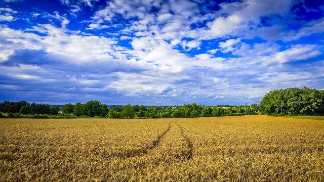 The Coastal Bounty: Unveiling the Hidden Gems of a Coastal Farm