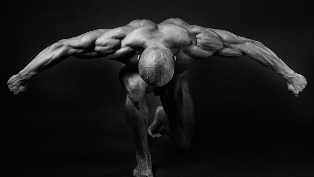 Sculpting Strength: The Art of Bodybuilding