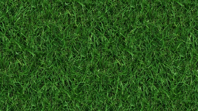 The Perfect Cut: Mastering Lawn Mowing and Care