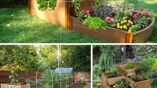 Blooming Beds: Creative Garden Bed Ideas That Will Transform Your Outdoor Space