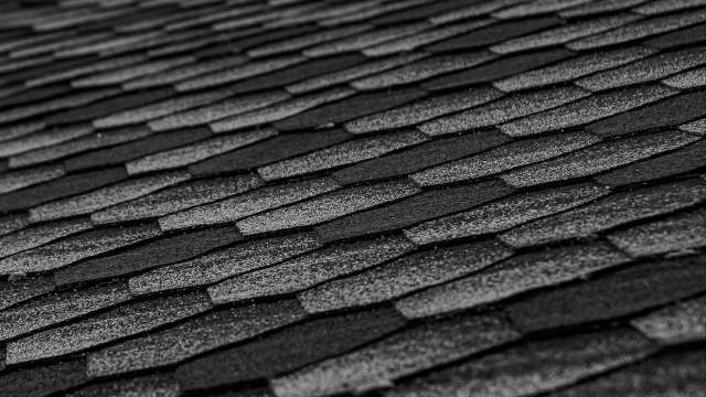 Reaching New Heights: A Guide to Roofing Trends and Tips