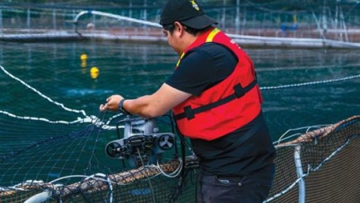 Revolutionizing the Waters: The Future of Aquaculture Technology