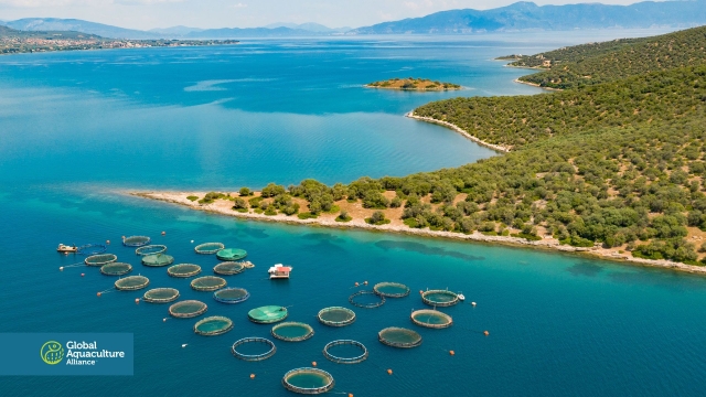 Revolutionizing the Waves: The Future of Aquaculture Technology