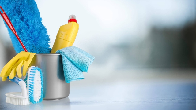 Sparkle and Shine: Mastering the Art of House Cleaning