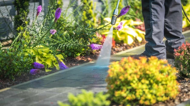 The Impact of Clean Exteriors on Property Value