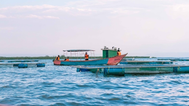 Types of Aquaculture Equipment An Overview